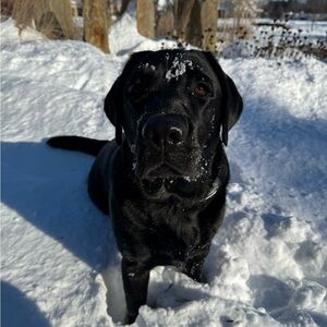 Meet your Posher, Isabel